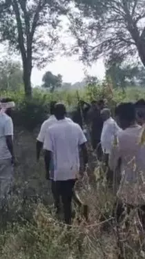 ಮೈಸೂರು: ರೈತನ ಕಣ್ಣೆದುರೇ ಹಸುವಿನ ಮೇಲೆ ಹುಲಿ ದಾಳಿ, ಕೂದಲೆಳೆ ಅಂತರದಲ್ಲಿ ಪಾರಾದ ಮಾಲೀಕ ಮೈಸೂರು: ರೈತನ ಕಣ್ಣೆದುರೇ ಹಸುವಿನ ಮೇಲೆ ಹುಲಿ ದಾಳಿ, ಕೂದಲೆಳೆ ಅಂತರದಲ್ಲಿ ಪಾರಾದ ಮಾಲೀಕ