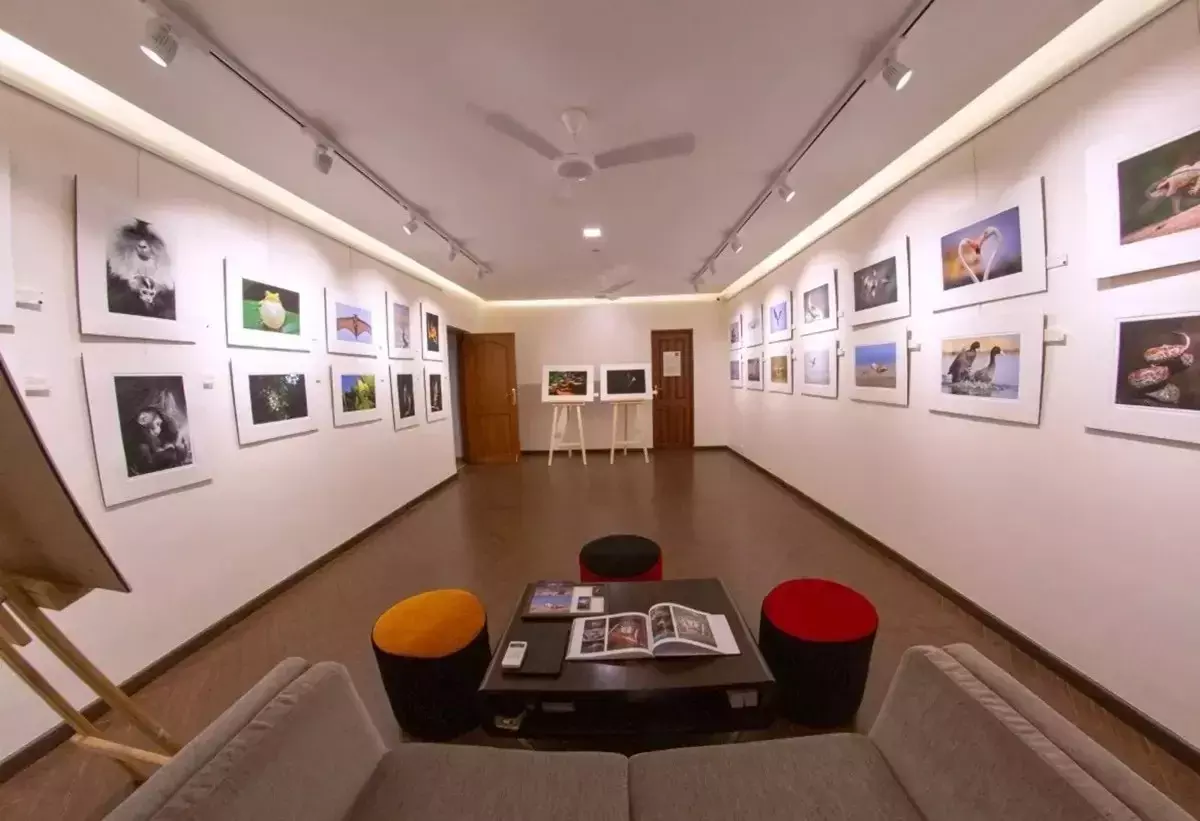 ಐಟಿ ಸಿಟಿಯಲ್ಲೊಂದು ಕಲಾ ಪಯಣ: ನೀವು ಭೇಟಿ ನೀಡಲೇಬೇಕಾದ ಹತ್ತು ಆರ್ಟ್ ಗ್ಯಾಲರಿ, ಮ್ಯೂಸಿಯಂಗಳು ಐಟಿ ಸಿಟಿಯಲ್ಲೊಂದು ಕಲಾ ಪಯಣ: ನೀವು ಭೇಟಿ ನೀಡಲೇಬೇಕಾದ ಹತ್ತು ಆರ್ಟ್ ಗ್ಯಾಲರಿ, ಮ್ಯೂಸಿಯಂಗಳು