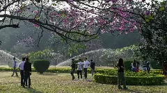 ಕಬ್ಬನ್ ಪಾರ್ಕ್‌ನಲ್ಲಿ ಮೊದಲ ಫಲಪುಷ್ಪ ಪ್ರದರ್ಶನ: ನ. 27 ರಿಂದ ಆರಂಭ