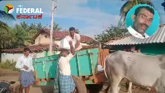 ಆರ್‌ಟಿಐ ದಾಖಲೆ ಪಡೆಯಲು ಹಸು ಮಾರಿದ ರೈತ; ಅರಕಲಗೂಡು ತಾಲೂಕಿನಲ್ಲಿ ರೈತನ ವ್ಯಥೆ