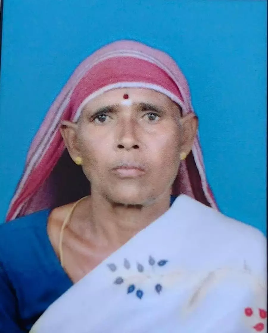 ಗುಂಡ್ಲುಪೇಟೆ ಗಡಿಯಲ್ಲಿ ಮೇಕೆ ಮೇಯಿಸುತ್ತಿದ್ದ ವೃದ್ಧೆ ಹುಲಿ ಬಾಯಿಗೆ ಬಲಿ ಗುಂಡ್ಲುಪೇಟೆ ಗಡಿಯಲ್ಲಿ ಮೇಕೆ ಮೇಯಿಸುತ್ತಿದ್ದ ವೃದ್ಧೆ ಹುಲಿ ಬಾಯಿಗೆ ಬಲಿ