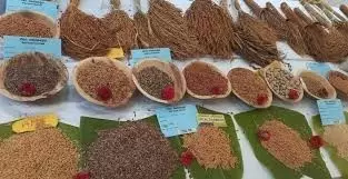 The biggest challenge for domestic agriculture is competing with modern technology.