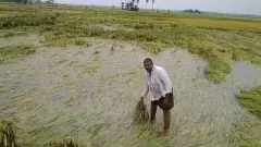 Crop damage compensation, additional Rs 1033.60 crore package announced by the state government