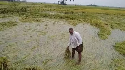 Crop damage compensation, additional Rs 1033.60 crore package announced by the state government