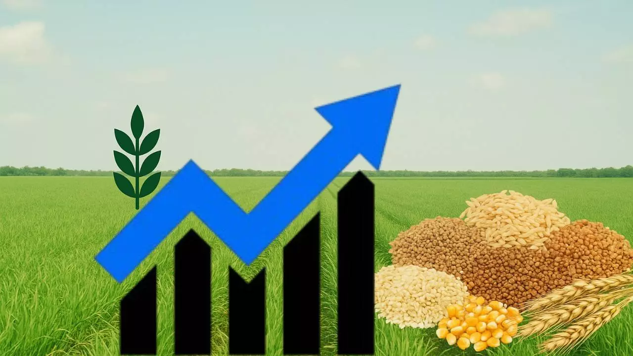 ಕರ್ನಾಟಕದಲ್ಲಿ ಆಹಾರ ಧಾನ್ಯಗಳ ಉತ್ಪಾದನೆ; ಧನಾತ್ಮಕ ಬೆಳವಣಿಗೆ ದಾಖಲಿಸುವ ನಿರೀಕ್ಷೆ ಕರ್ನಾಟಕದಲ್ಲಿ ಆಹಾರ ಧಾನ್ಯಗಳ ಉತ್ಪಾದನೆ; ಧನಾತ್ಮಕ ಬೆಳವಣಿಗೆ ದಾಖಲಿಸುವ ನಿರೀಕ್ಷೆ