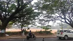 ಬೆಂಗಳೂರಿಗೆ ತಂಪೆರೆದ ಜಿಟಿಜಿಟಿ ಮಳೆ; ರಾಜ್ಯದಲ್ಲಿ ದಿತ್ವಾ ಚಂಡಮಾರುತದ ಎಫೆಕ್ಟ್