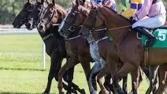 Five horses at Bengaluru Turf Club feared to be infected with glanders riders also worried