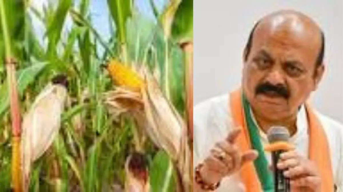 Buy at least one hundred quintals of corn from each farmer; discuss the issue of the U.K. region in the session Buy at least one hundred quintals of corn from each farmer; discuss the issue of the U.K. region in the session