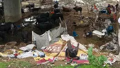 37.48 lakh people state not have housing, official information from government session