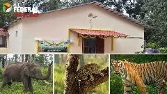 ಮಾನವ-ವನ್ಯಜೀವಿ ಸಂಘರ್ಷ|ತಂತ್ರಜ್ಞಾನದ ಕಡಿವಾಣ; ಹೈಟೆಕ್ ಕಮಾಂಡ್ ಸೆಂಟರ್ ಅಸ್ತ್ರ