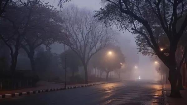 ರಾಜ್ಯದಲ್ಲಿ ಶುಷ್ಕ ಚಳಿಯ ಎಚ್ಚರ: ಹಲವು ಜಿಲ್ಲೆಗಳಲ್ಲಿ ಶೀತ ಮಾರುತದ ಎಚ್ಚರಿಕೆ ರಾಜ್ಯದಲ್ಲಿ ಶುಷ್ಕ ಚಳಿಯ ಎಚ್ಚರ: ಹಲವು ಜಿಲ್ಲೆಗಳಲ್ಲಿ ಶೀತ ಮಾರುತದ ಎಚ್ಚರಿಕೆ