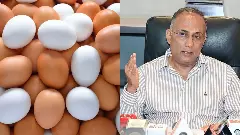 ವೈರಲ್ ವಿಡಿಯೋ ಎಫೆಕ್ಟ್: ಮೊಟ್ಟೆಯಲ್ಲಿ ಕ್ಯಾನ್ಸರ್‌ಕಾರಕ ಅಂಶವಿದೆಯೇ? ಆರೋಗ್ಯ ಸಚಿವರು ಮತ್ತು ತಜ್ಞರ ಸ್ಪಷ್ಟನೆ ಇಲ್ಲಿದೆ