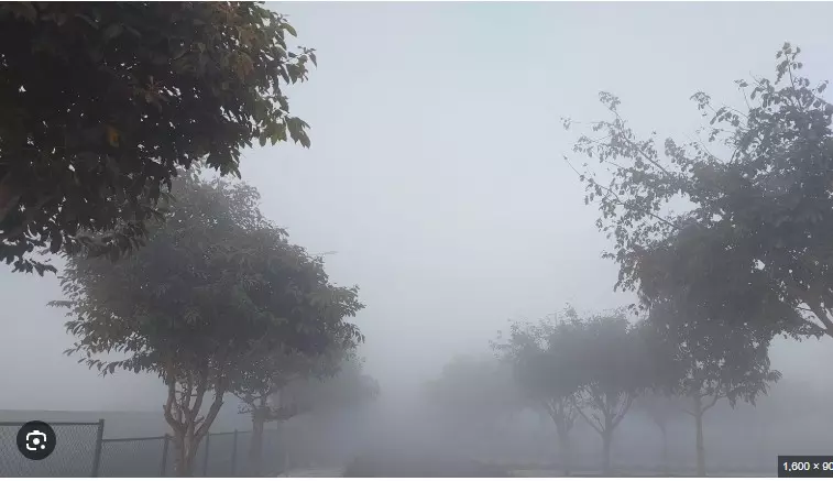 ರಾಜ್ಯದಲ್ಲಿ ಚಳಿಯ ಅಬ್ಬರ: 17 ಜಿಲ್ಲೆಗಳಲ್ಲಿ ತಾಪಮಾನ ಕುಸಿತ ರಾಜ್ಯದಲ್ಲಿ ಚಳಿಯ ಅಬ್ಬರ: 17 ಜಿಲ್ಲೆಗಳಲ್ಲಿ ತಾಪಮಾನ ಕುಸಿತ