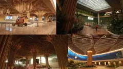 ದೇಶದ ಮೊದಲ ನೇಚರ್‌ ಥೀಮ್ಡ್‌ ಏರ್‌ಪೋರ್ಟ್‌ ಟರ್ಮಿನಲ್‌- ಇದರ ವೈಶಿಷ್ಟ್ಯವೇನು?