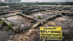 ಎಸ್‌ಟಿಪಿಗಳೇ ಬೆಂಗಳೂರಿನ ಕೆರೆಗಳ ಪಾಲಿನ ಮೃತ್ಯುಪಾಶ! ಶೇ. 90ರಷ್ಟು ಘಟಕಗಳು ಕೇವಲ ಹೆಸರಿಗಷ್ಟೇ!!