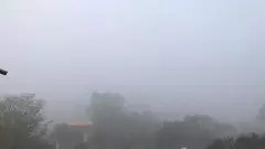 Cold Wave Grips Karnataka: Orange Alert for 7 Districts, Vijayapura Records 6.9°C Minimum Temperature