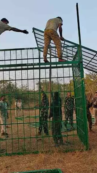 ಚಾಮರಾಜನಗರ: ಗ್ರಾಮಸ್ಥರಿಗೆ ಭೀತಿ ಹುಟ್ಟಿಸಿರುವ ಐದು ಹುಲಿಗಳು; ಸೆರೆಗೆ ಶೂಟರ್‌ಗಳ ನಿಯೋಜನೆ, ಆನೆ ಪಡೆ ಅಗಮನ