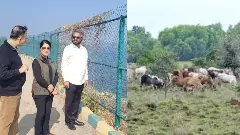 Master plan for conservation of Hesarghat grassland, Minister Khandre instructs not to pollute Arkavati river