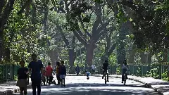 ಯಲಹಂಕ ಬಳಿ ಕಬ್ಬನ್‌ಪಾರ್ಕ್‌, ಲಾಲ್‌ಬಾಗ್‌ ಮಾದರಿ ಉದ್ಯಾನ; ಜೀವವೈವಿದ್ಯ ತಾಣ ನಿರ್ಮಿಸಲು ಸಂಪುಟ ಅಸ್ತು