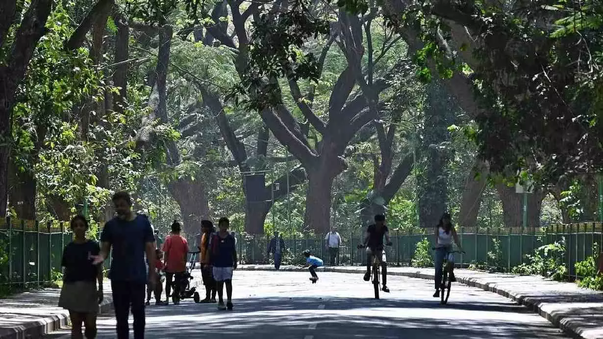 ಯಲಹಂಕ ಬಳಿ ಕಬ್ಬನ್ಪಾರ್ಕ್, ಲಾಲ್ಬಾಗ್ ಮಾದರಿ ಉದ್ಯಾನ; ಜೀವವೈವಿದ್ಯ ತಾಣ ನಿರ್ಮಿಸಲು ಸಂಪುಟ ಅಸ್ತು ಯಲಹಂಕ ಬಳಿ ಕಬ್ಬನ್ಪಾರ್ಕ್, ಲಾಲ್ಬಾಗ್ ಮಾದರಿ ಉದ್ಯಾನ; ಜೀವವೈವಿದ್ಯ ತಾಣ ನಿರ್ಮಿಸಲು ಸಂಪುಟ ಅಸ್ತು