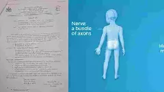 ನರರೋಗಿಗಳಿ ಶುಭ ಸುದ್ದಿ: ಇನ್ನು ಮುಂದೆ ಸರ್ಕಾರದಿಂದಲೇ ಸಿಗಲಿದೆ 2 ಲಕ್ಷ ರೂ. ವರೆಗಿನ ಉಚಿತ ಚಿಕಿತ್ಸೆ