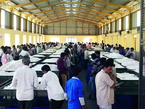 Union Budget-2026| ರೇಷ್ಮೆ ಬೆಳೆಗಾರರ ನೆರವಿಗೆ ಬಂದ ಕೇಂದ್ರ; ರಾಷ್ಟ್ರೀಯ ಫೈಬರ್ ಯೋಜನೆ ಘೋಷಣೆ