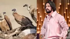 ನಟ ಸುದೀಪ್‌ ಹೇಳಿಕೆಗೆ ಪಕ್ಷಿ ಪ್ರಿಯರ ಆಕ್ಷೇಪ: ಅರಣ್ಯ ಇಲಾಖೆ ನೋಟಿಸ್‌