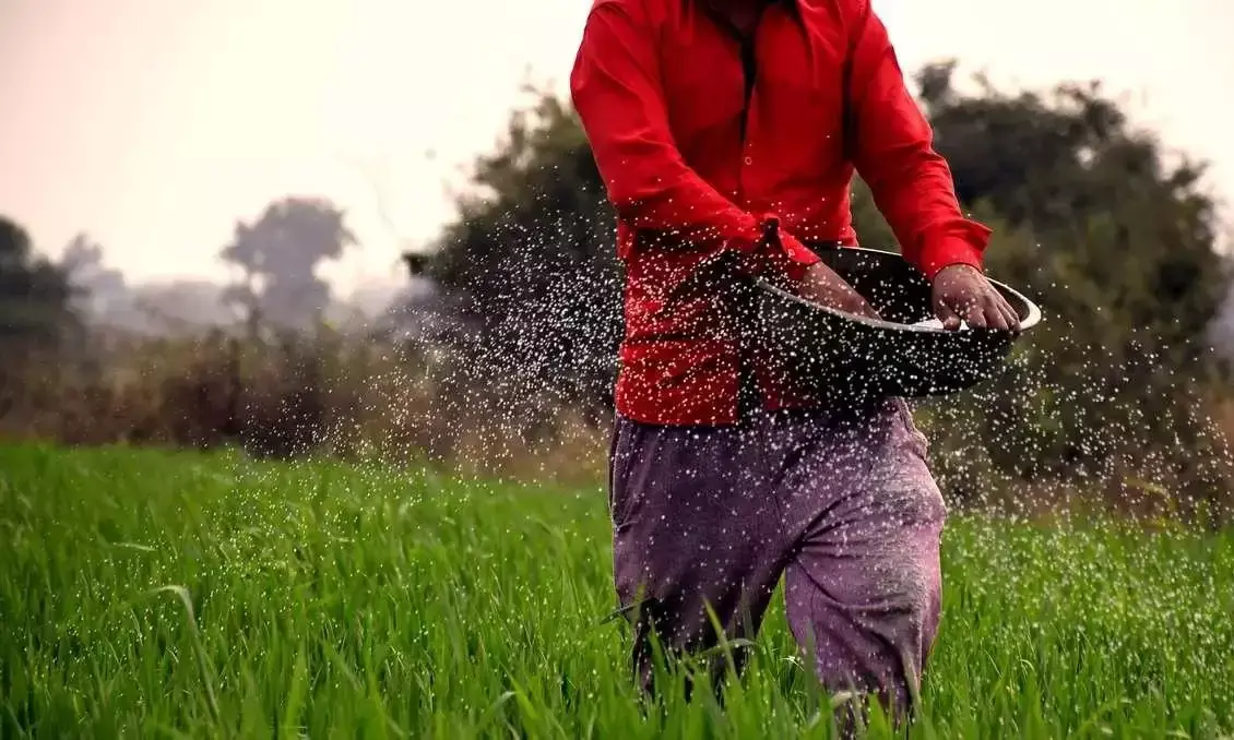 ರಸಗೊಬ್ಬರಗಳ ಮೂಲಕ ಗಾಳಿ-ನೀರಿಗೆ ವಿಷವಿಕ್ಕುತ್ತಿರುವ ಭಾರತದ ಸಬ್ಸಿಡಿಗಳು