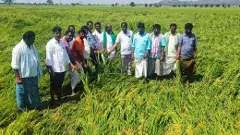 State Agriculture Department ranks second in implementation of crop insurance scheme