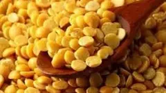 Global market ready for Togari: Plan to manufacture value-added products