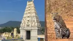 Hiking ban on Malai Mahadeshwar hill; Why the governments tough decision?