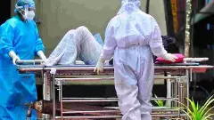 ಭಾರತದಲ್ಲಿ ನಿಫಾ ವೈರಸ್ ಭೀತಿ ಇಲ್ಲ: WHO ಸ್ಪಷ್ಟನೆ