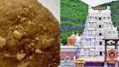 ತಿರುಪತಿ ಲಡ್ಡು ವಿವಾದ: ಪ್ರಾಣಿಗಳ ಕೊಬ್ಬು ಬಳಕೆಯಾಗಿಲ್ಲ-ಸಿಬಿಐ ಸ್ಪಷ್ಟನೆ
