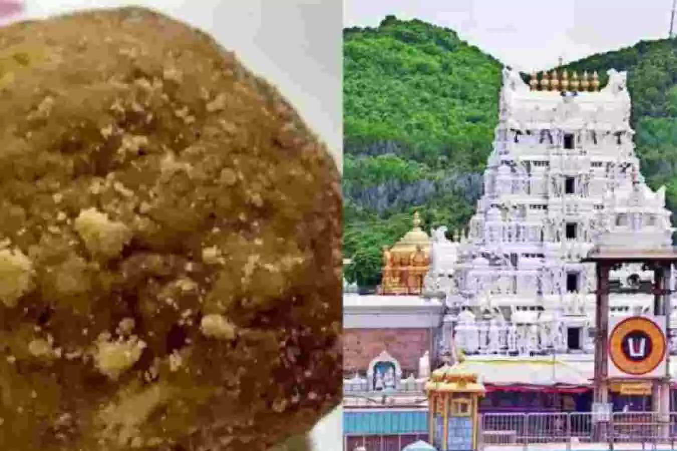 ತಿರುಪತಿ ಲಡ್ಡು ವಿವಾದ: ಪ್ರಾಣಿಗಳ ಕೊಬ್ಬು ಬಳಕೆಯಾಗಿಲ್ಲ-ಸಿಬಿಐ ಸ್ಪಷ್ಟನೆ ತಿರುಪತಿ ಲಡ್ಡು ವಿವಾದ: ಪ್ರಾಣಿಗಳ ಕೊಬ್ಬು ಬಳಕೆಯಾಗಿಲ್ಲ-ಸಿಬಿಐ ಸ್ಪಷ್ಟನೆ