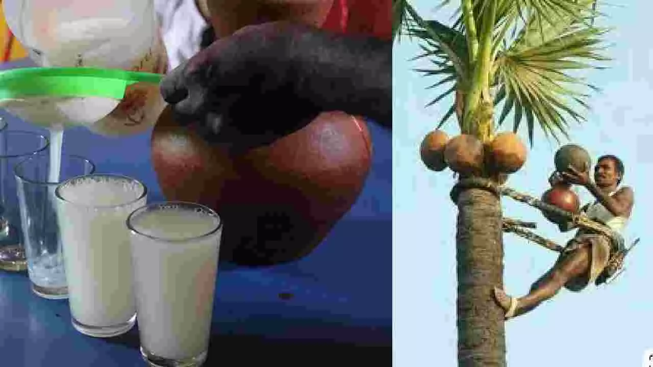 ಗಗನಚುಂಬಿ ಮರ ಏರುವ ‘ಬೈದ್ಯ’ರು ಇಂದು ಸುಶಿಕ್ಷಿತರು;  ಅಳಿವಿನಂಚಿನಲ್ಲಿ ತುಳುನಾಡಿನ ʻಮೂರ್ತೆʼ