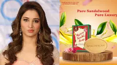 ಮಂಗಳವಾರದಿಂದ ಮೈಸೂರು ಸ್ಯಾಂಡಲ್ ಸೋಪಿಗೆ ಮಿಲ್ಕಿ ಬ್ಯೂಟಿ ರಾಯಭಾರಿ