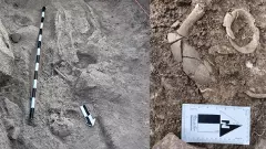 ಬಳ್ಳಾರಿಯ ತೆಕ್ಕಲಕೋಟೆಯಲ್ಲಿ ಉತ್ಖನನ;  5ಸಾವಿರ ವರ್ಷಗಳ ಹಳೆಯ ಎರಡು ಅಸ್ಥಿಪಂಜರ ಪತ್ತೆ