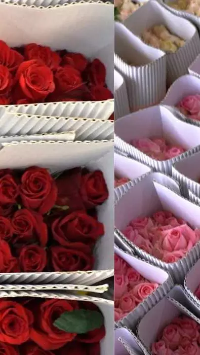 Valentines Day buzz: Bengaluru roses in huge demand in foreign markets