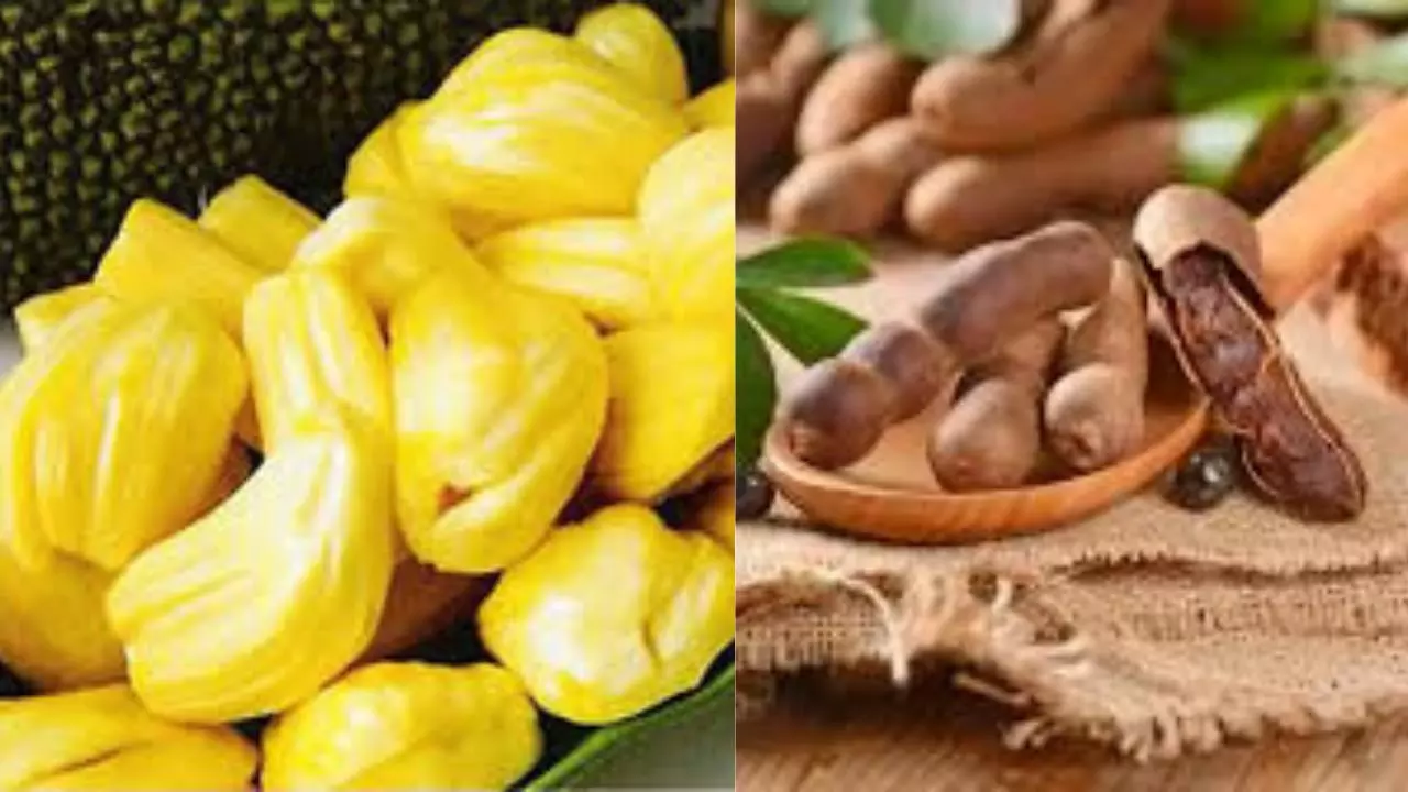 HDD suggests formation of Bengaluru-Mangalore Industrial Corridor, Jackfruit-Tamarind Board
