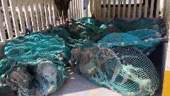 Stray Dog Adoption| ಸುಪ್ರೀಂ ಸೂಚನೆ ಪಾಲನೆ: ಬೀದಿ ನಾಯಿಗಳ ದತ್ತು ಸ್ವೀಕಾರ