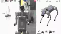 Delhi AI Summit|ಸ್ವಯಂ ಆವಿಷ್ಕಾರ ಎನ್ನುತ್ತಾ ಚೀನಾದ ರೋಬೋಟ್‌ ನಾಯಿ ಪ್ರದರ್ಶನ! ವಿವಿಗೆ ಗೇಟ್‌ಪಾಸ್‌