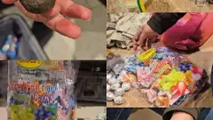 ಬ್ಯಾಂಕಾಕ್ ಟು ಬೆಂಗಳೂರು: ಸಿಲಿಕಾನ್ ಸಿಟಿಗೆ ಹರಿಯುತ್ತಿದೆ ಹೈಡ್ರೋ ಗಾಂಜಾ ಮಾಫಿಯಾ ಬ್ಯಾಂಕಾಕ್ ಟು ಬೆಂಗಳೂರು: ಸಿಲಿಕಾನ್ ಸಿಟಿಗೆ ಹರಿಯುತ್ತಿದೆ ಹೈಡ್ರೋ ಗಾಂಜಾ ಮಾಫಿಯಾ