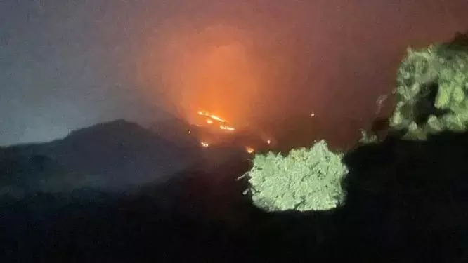 ಚಾರ್ಮಾಡಿ ಘಾಟಿಯಲ್ಲಿ ಭಾರಿ ಕಾಡ್ಗಿಚ್ಚು: ಬೆಂಕಿ ನಂದಿಸಲು ಹರಸಾಹಸ