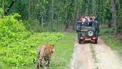 ಪ್ರವಾಸಿಗರಿಗೆ ಸಿಹಿ ಸುದ್ದಿ! ಬಂಡೀಪುರ, ನಾಗರಹೊಳೆ ಸಫಾರಿ ಇಂದಿನಿಂದ ಪುನರಾರಂಭ