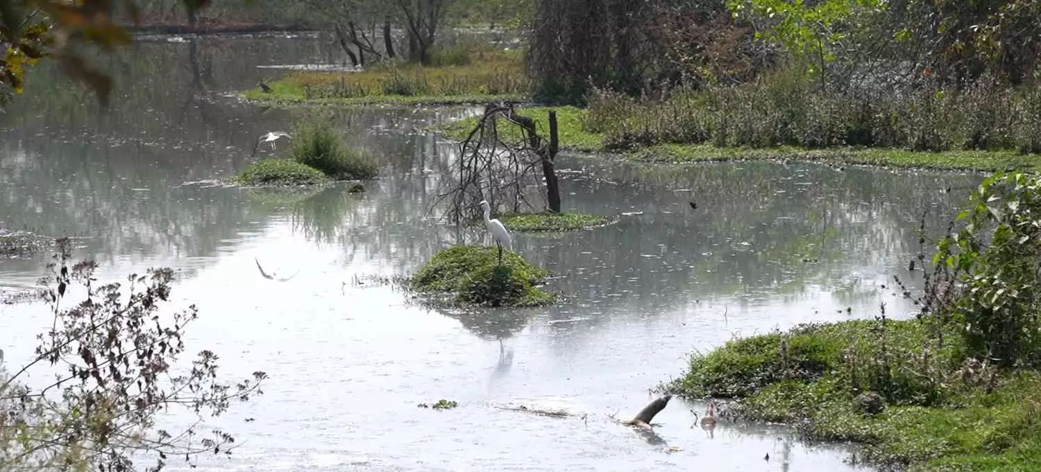 Ground Report| ದ ಫೆಡರಲ್ ಕಂಡ ಸತ್ಯಗಳು: ಅರ್ಕಾವತಿ ನದಿ ಒಡಲಲ್ಲಿ ವಿಷವೇ ವಿಷ!