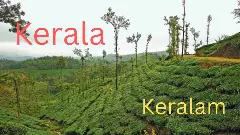 ಕೇರಳ ಇನ್ನು ಮುಂದೆ ‘ಕೇರಳಂ’:  ಹೆಸರು ಬದಲಾವಣೆಗೆ ಕೇಂದ್ರ ಸಚಿವ ಸಂಪುಟದ ಅಸ್ತು