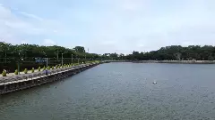 ಬೆಂಗಳೂರಿನ 142 ಕೆರೆಗಳ ನೀರು ಕುಡಿಯಲು ಅಯೋಗ್ಯ: ಜಲಚರಗಳಿಗೂ ಸಂಚಕಾರ