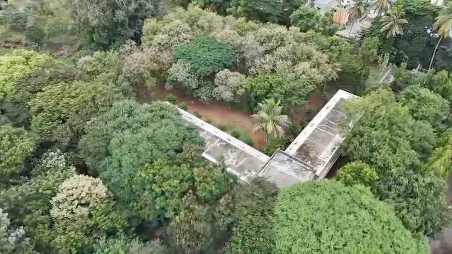 ಮರಗಳ ಮಾರಣ ಹೋಮ| ಕೃಷ್ಣರಾಜ ಒಡೆಯರ್ ಖ್ಯಾತಿಯ ಮೈಸೂರು ರೇಷ್ಮೆ ಘಟಕಕ್ಕೆ ಗ್ರಹಣ ಮರಗಳ ಮಾರಣ ಹೋಮ| ಕೃಷ್ಣರಾಜ ಒಡೆಯರ್ ಖ್ಯಾತಿಯ ಮೈಸೂರು ರೇಷ್ಮೆ ಘಟಕಕ್ಕೆ ಗ್ರಹಣ