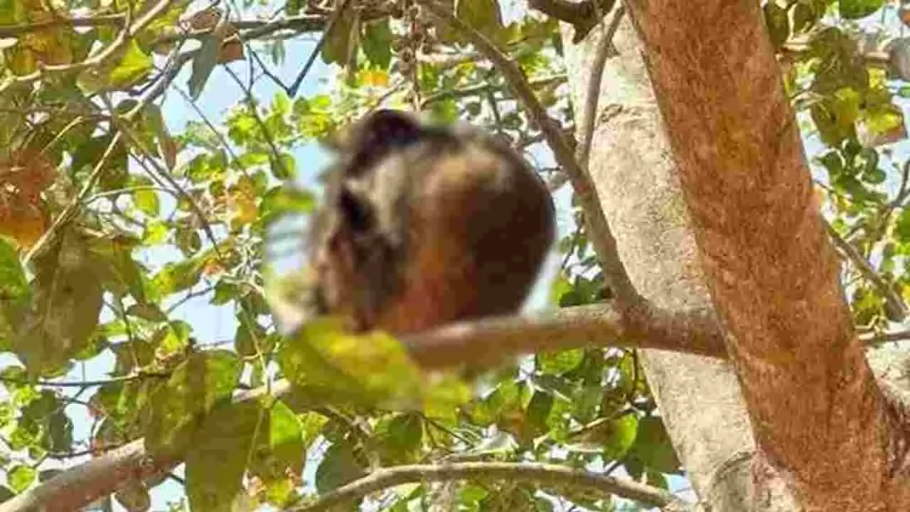 ತಲೆಬುರುಡೆ ರಹಸ್ಯ ಬಯಲು: ಎಟಿಎಂ ಕಾರ್ಡ್, ಶರ್ಟ್ ಲೇಬಲ್‌ನಿಂದ ನಿಗೂಢ ಸಾವು ಪತ್ತೆ!