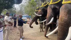 ಚನ್ನಪಟ್ಟಣದಲ್ಲಿ ಆನೆ ಶಿಕಾರಿ: ದಸರಾ ಆನೆ ಧನಂಜಯ ನೇತೃತ್ವದ ಗಜಪಡೆ ಅಖಾಡಕ್ಕೆ ಚನ್ನಪಟ್ಟಣದಲ್ಲಿ ಆನೆ ಶಿಕಾರಿ: ದಸರಾ ಆನೆ ಧನಂಜಯ ನೇತೃತ್ವದ ಗಜಪಡೆ ಅಖಾಡಕ್ಕೆ